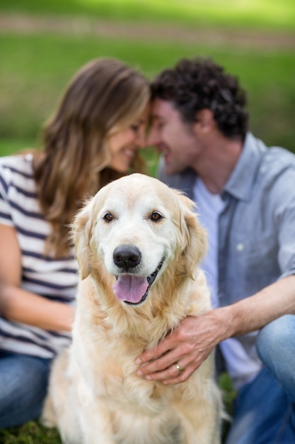 Casal com seu cachorro no parque