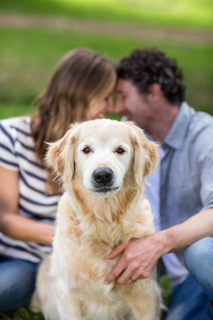 Casal com seu cachorro no parque