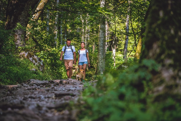 Casal com um cachorro, caminhadas na floresta