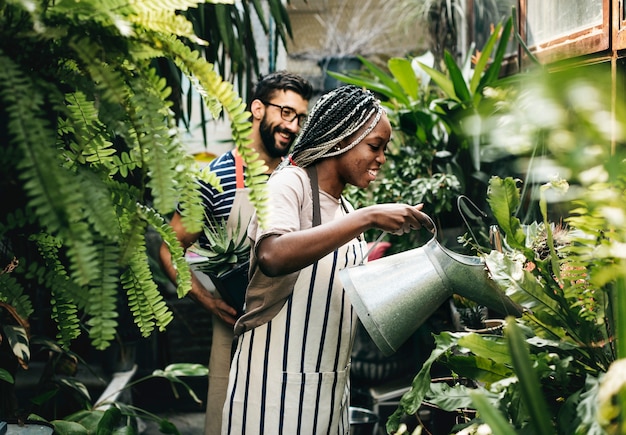 Casal cuidando das plantas