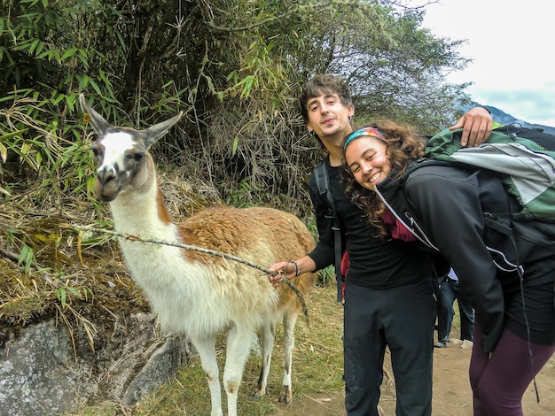 Casal de amantes posando ao lado de uma lhama.