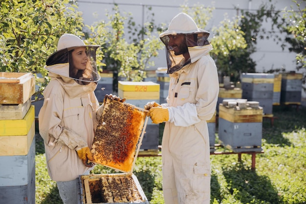 Casal de apicultores homem e mulher tirando quadro com abelhas da colmeia em uma fazenda de abelhas