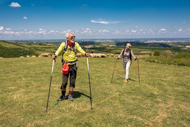 Casal de homens e mulheres idosos caminhando em um prado na montanha