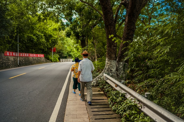 casal de idosos andando na estrada com árvores tropicais