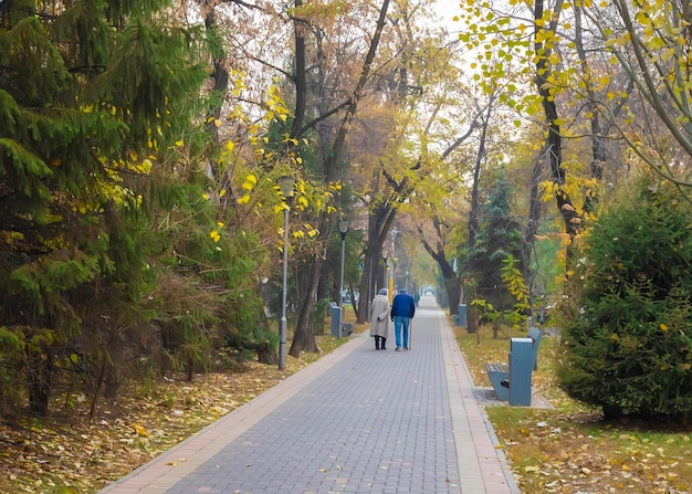 Casal de idosos andando no parque outono
