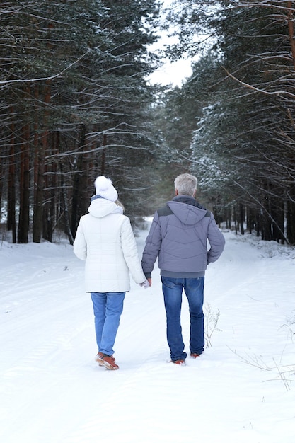 Casal de idosos caminhando na floresta no inverno