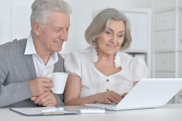 Casal de idosos com um laptop