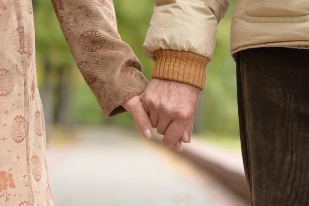 Casal de idosos de mãos dadas no parque outono