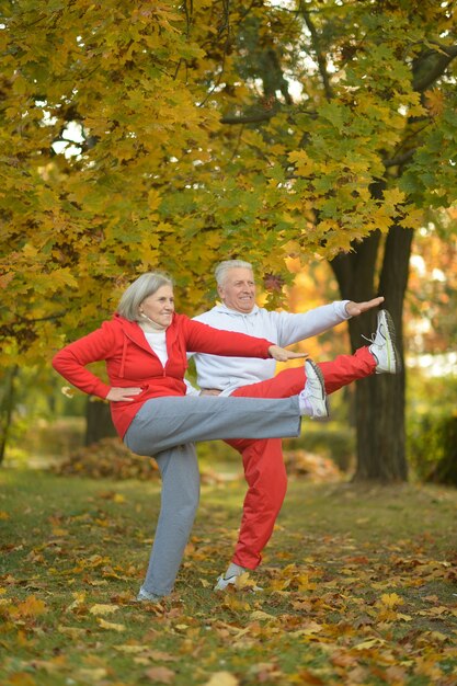 Casal de idosos em forma feliz correndo no parque outono