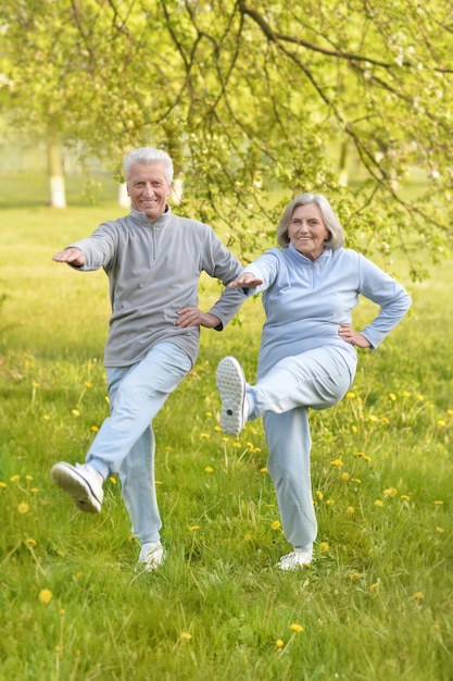 Casal de idosos em forma feliz se exercitando no parque