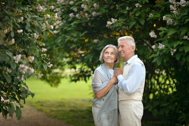 Casal de idosos em uma caminhada de verão