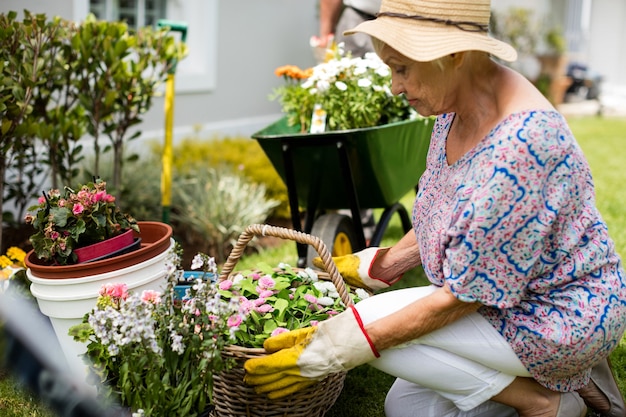 Casal de idosos fazendo jardinagem no quintal