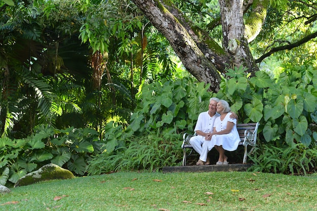 Casal de idosos feliz sentado em um banco ao ar livre