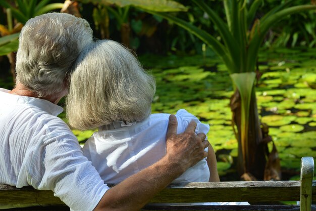 Casal de idosos felizes em um jardim tropical, sentado no banco perto do lago, vista traseira