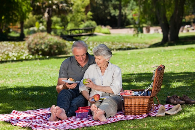 Casal de idosos picnicking no jardim