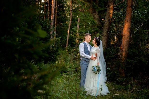 Casal de lindos recém-casados caminhando na floresta. honeymooners. noiva e noivo segurando as mãos em uma floresta de pinheiros