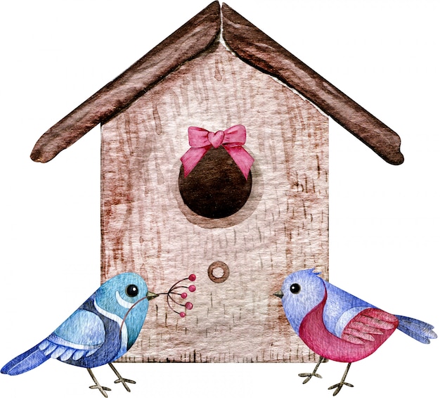 Casal de pássaros com a casa. ilustração em aquarela de pássaro amor, família. estilo dos desenhos animados.