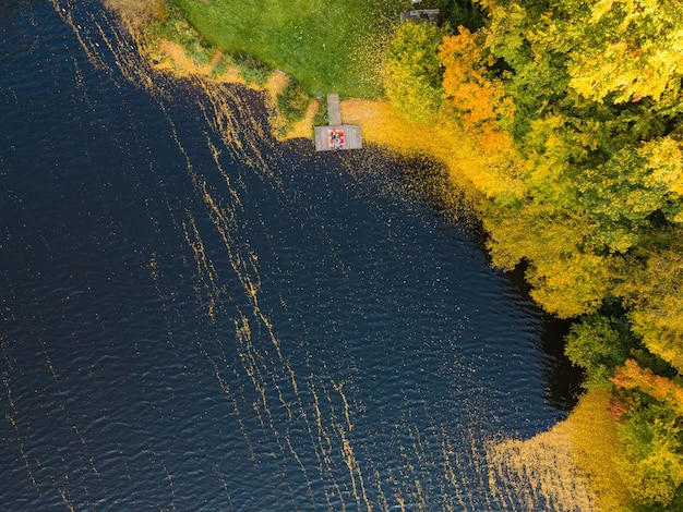 Casal deitado no cais no lago coberto com folhas de outono