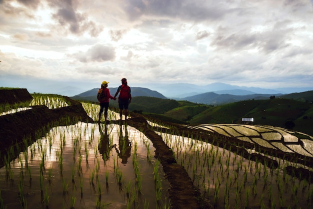 casal em arroz de campo