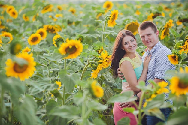 Casal em um campo de girassóis