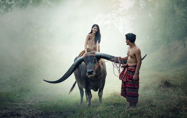 Casal fazendeiro em terno de fazendeiro com búfalo em campos