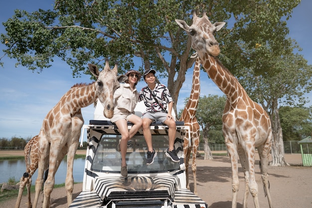 Foto casal fazendo um passeio de ônibus, alimentando e brincando com a girafa no zoológico safari parque aberto.