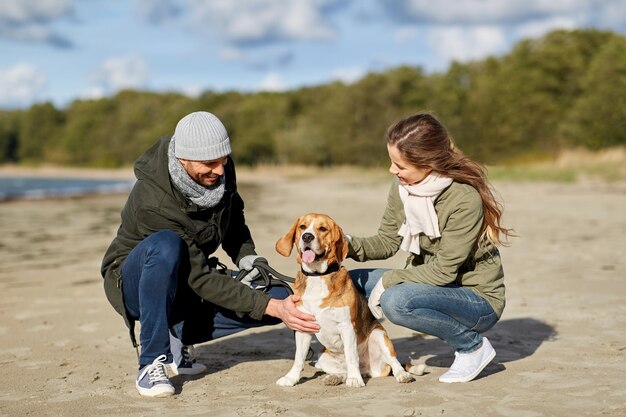 casal feliz com cão beagle na praia de outono