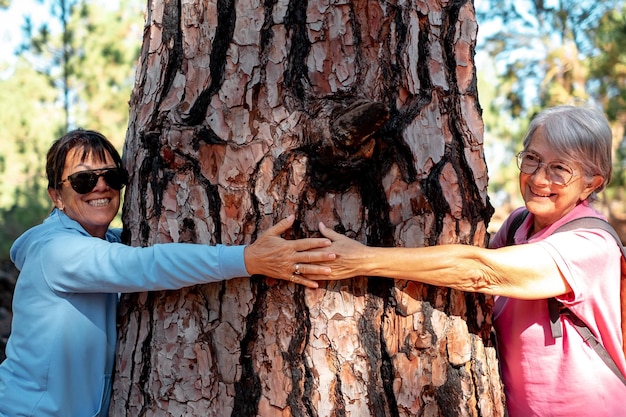 Casal feliz de mulheres idosas em excursão de montanha sorrindo enquanto abraça um grande tronco de árvore dois aposentados desfrutando de um estilo de vida saudável na natureza salvam o conceito de planeta