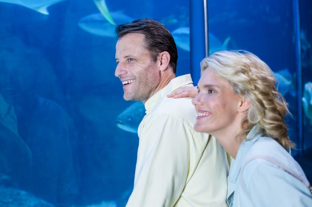 Casal feliz olhando o tanque de peixe