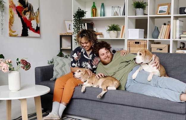 Casal feliz relaxando com cães em casa