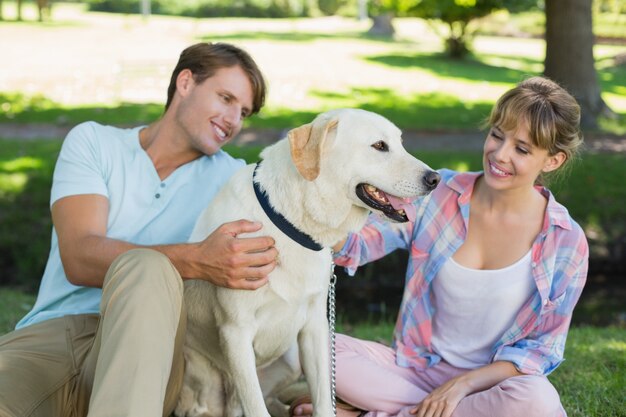 Casal feliz sentado com o labrador no parque