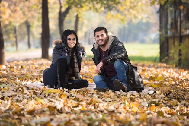 Casal feliz sentados juntos na floresta durante o outono