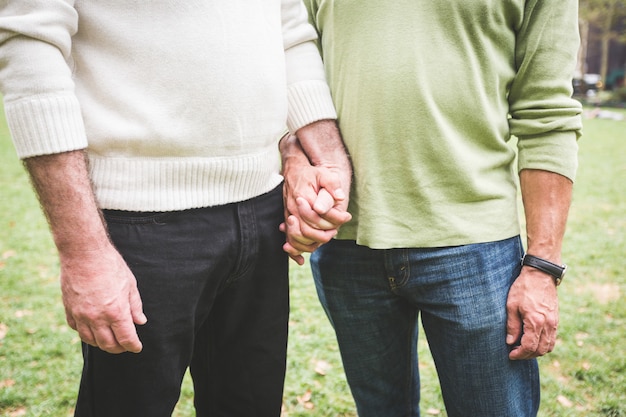 Casal gay de mãos dadas no parque