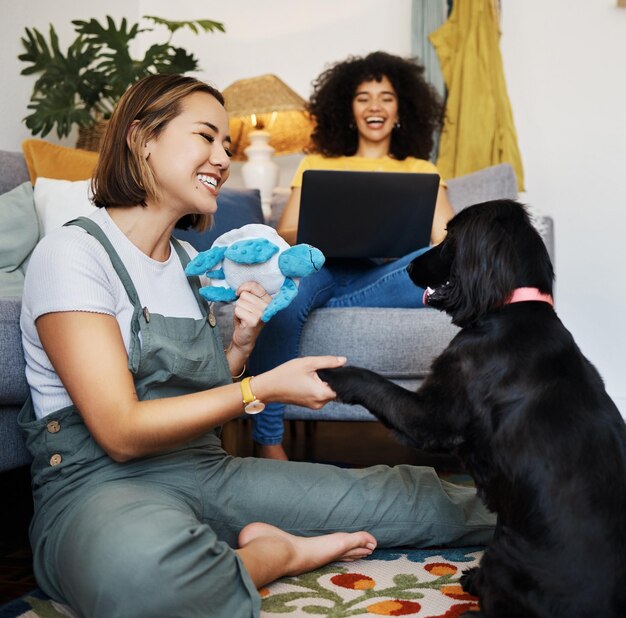 Foto casal gay ou feliz com cachorro na sala de estar no chão para relaxar com truque de pata, lealdade ou amor ensinando aperto de mão de animal de estimação ou mulher brincando com um animal com apoio carinhoso ou sorriso no tapete