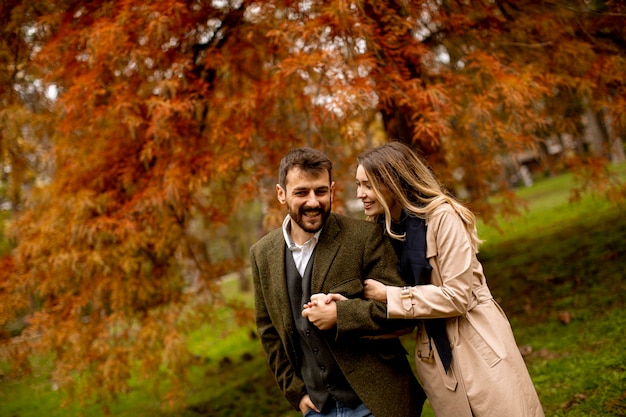 Casal jovem bonito no parque outono