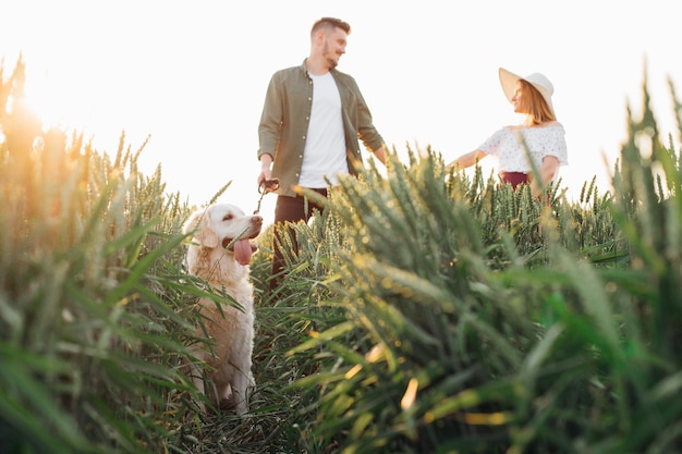 Casal jovem feliz caminha com seu retriever dourado em campos na noite de verão. amor e ternura. lindos momentos de vida. paz e descuido. caminhando na natureza.