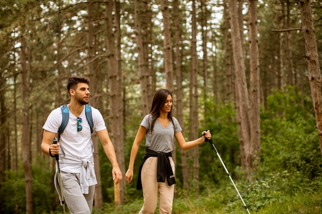 Casal jovem sorridente andando com mochilas na floresta em um dia de verão