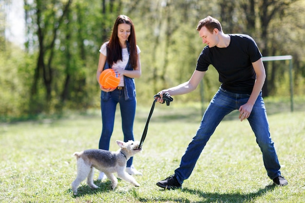 Casal jovem treina um cachorro em um parque de verão