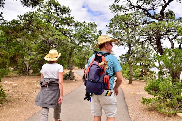 Casal mais velho andando com seu animal de estimação no Parque Nacional do Grand Canyon, Arizona, EUA, América. Panorâmico