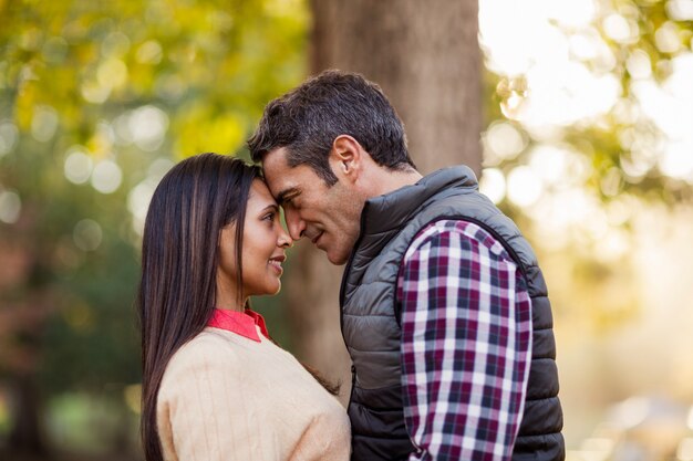 Casal namorando no parque