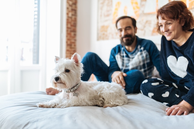 Casal relaxado em casa na cama com o cachorro