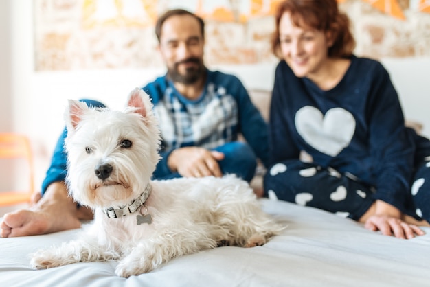 Casal relaxado em casa na cama com o cachorro