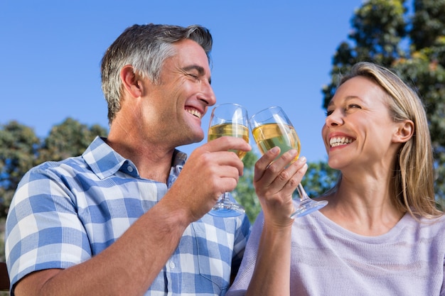 Casal relaxante no parque com vinho