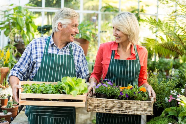 Casal segurando caixas de plantas em estufa