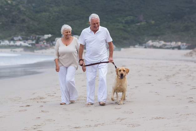 Casal sênior caminhando na praia com cachorro