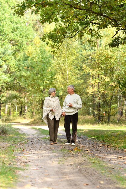 Casal sênior caminhando no parque outono juntos