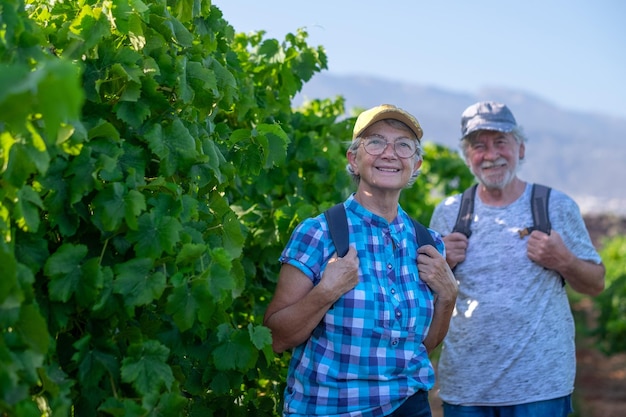 Casal sênior de turistas em Tenerife viaja visitando vinhedos andando entre videiras Pessoas em experiência de degustação de vinhos de férias na paisagem do vale de verão