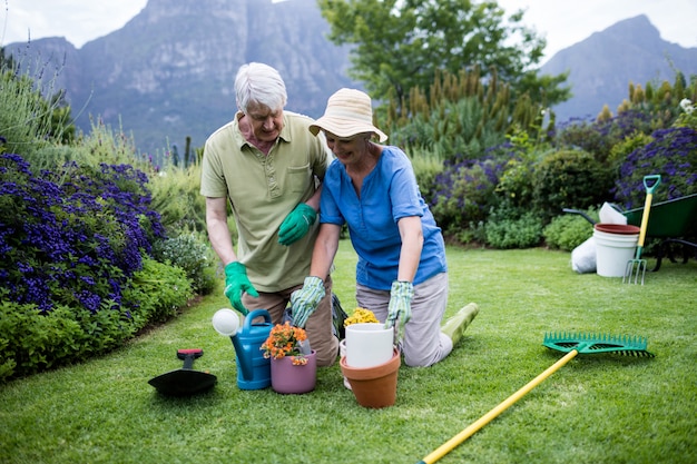 Casal sênior, plantando flores