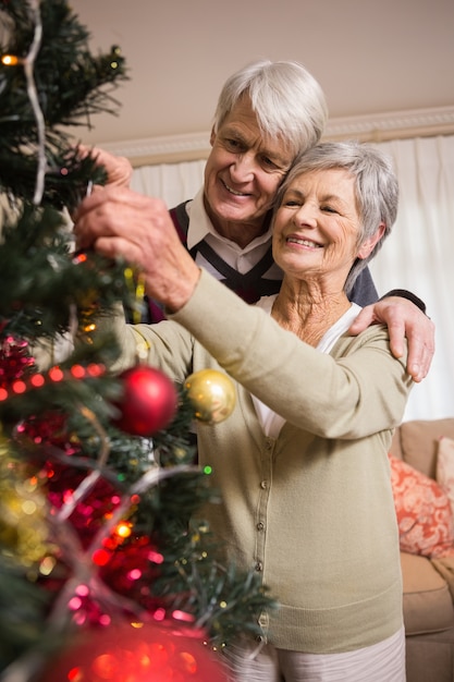 Casal sênior que decora sua árvore de natal