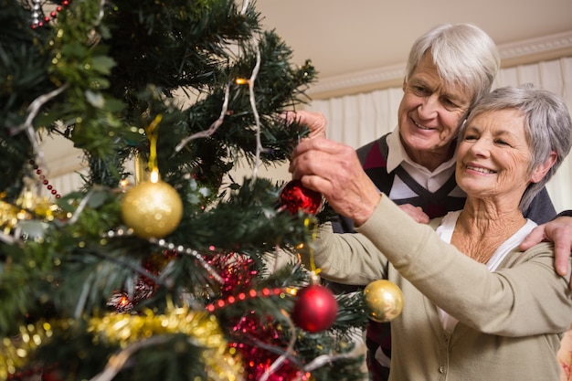 Casal sênior que decora sua árvore de natal